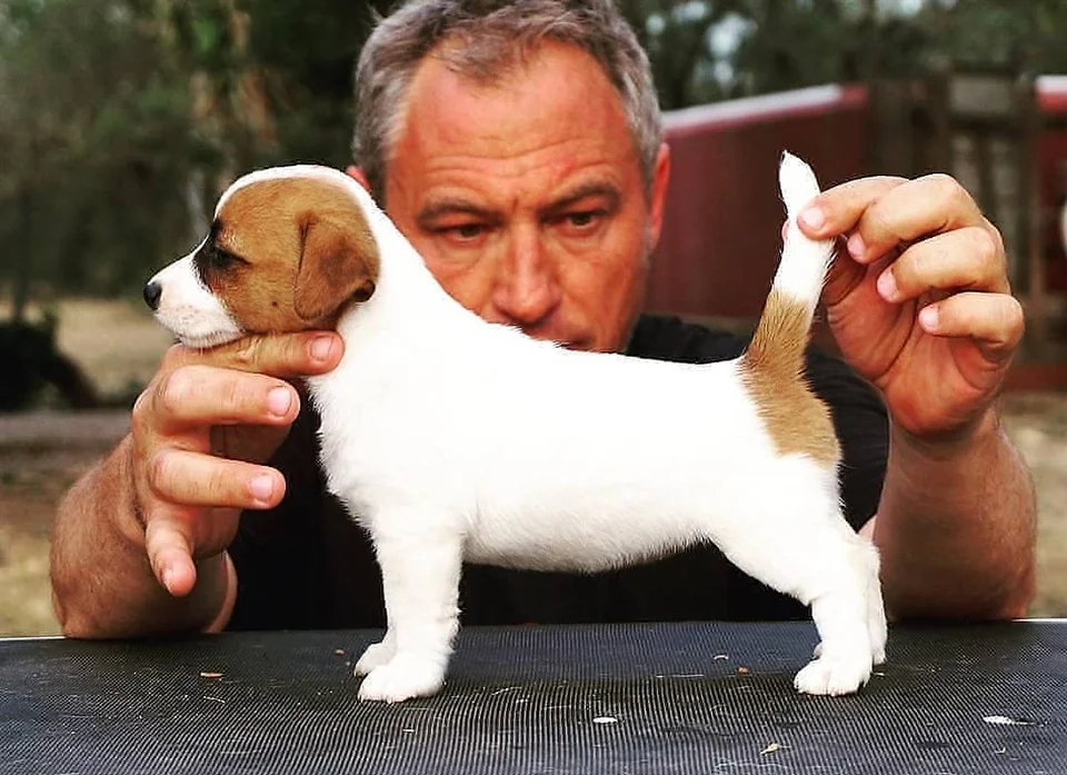 Фото © Reddit / dl_supertroll