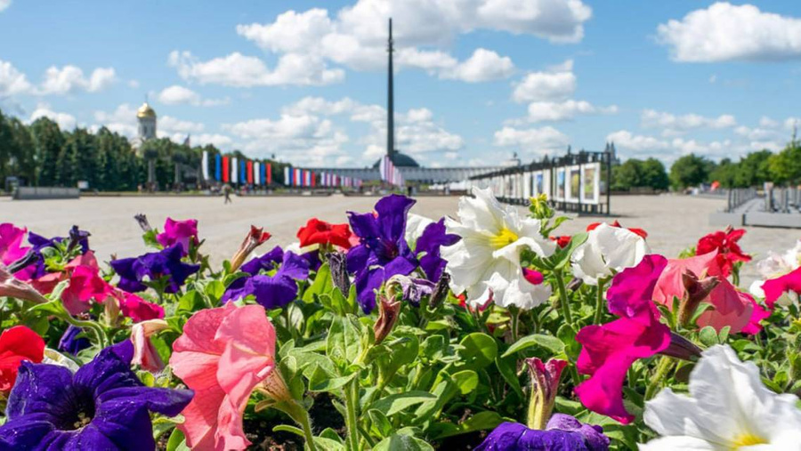 Обложка © T.me / Город Москва