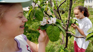 Дачникам предложили "дымный" способ защиты растений от ночных заморозков