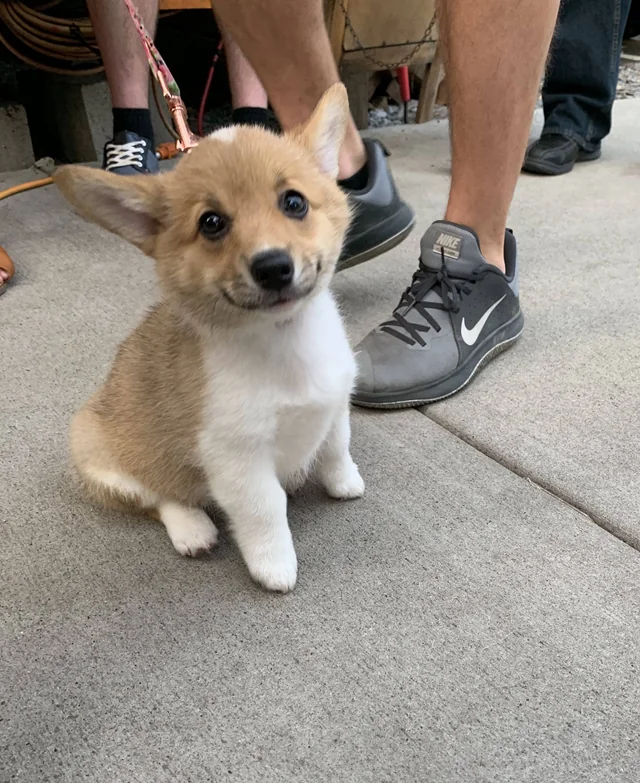 Фото © Reddit / mlynskey