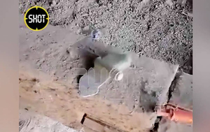 Больше десятка мин "Лепесток" нашли на чердаке дома на Сахалине