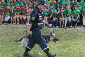 Минпросвещения: В детских лагерях на юге России усилены меры безопасности