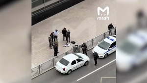 Ходили по улице и пугали прохожих: Двух вооружённых фанатов фурри задержали в Москве