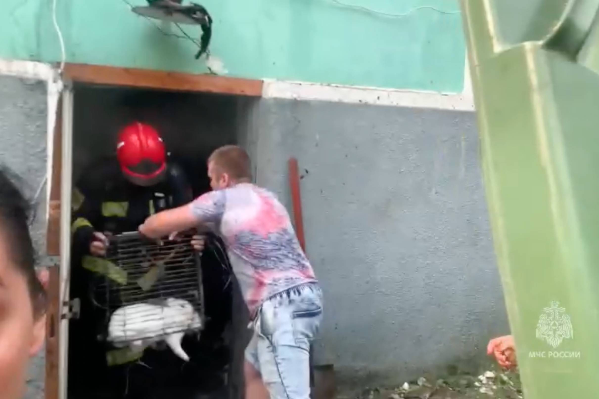 Открытое горение на территории зоопарка в Ростове-на-Дону ликвидировали 