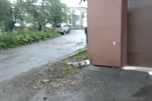 Появилось видео с места стрельбы с четырьмя ранеными в Приморье