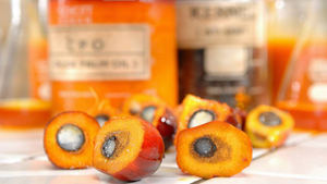 В Госдуме предложили ввести уголовное наказание за пальмовое масло