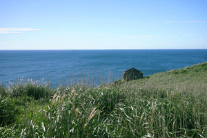 В море у Приморья произошло землетрясение магнитудой 6