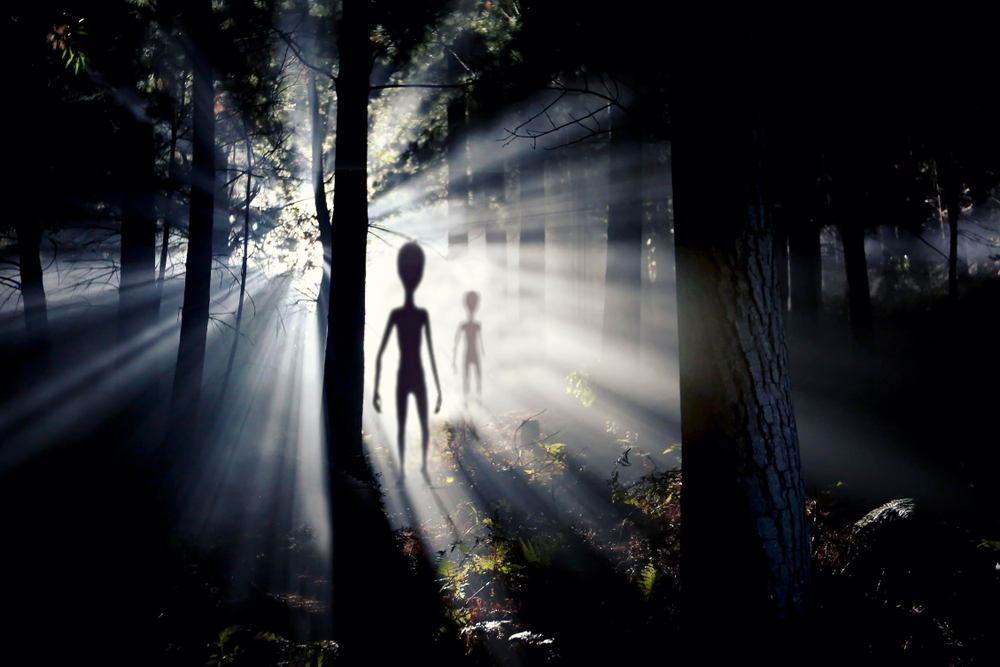 Катя Лель совсем сошла с ума и всем рассказывает про существование инопланетян. Фото © Shutterstock