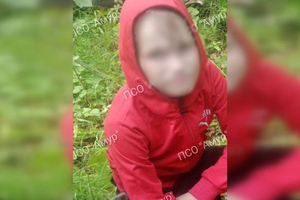 В Амурской области нашли пропавшего в тайге ребёнка