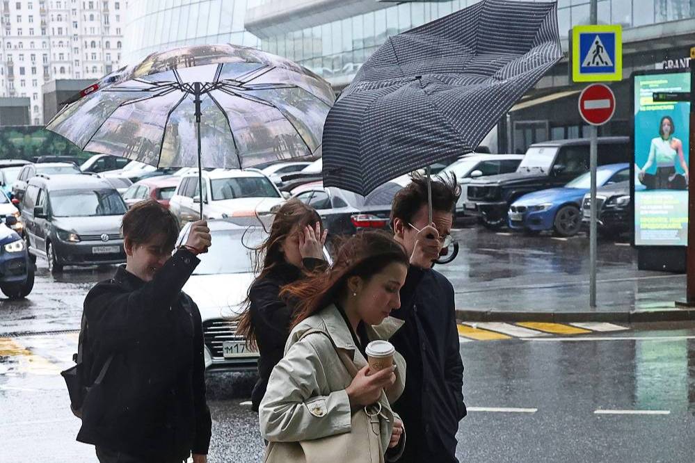 В Московском регионе объявлен оранжевый уровень опасности из-за заморозков