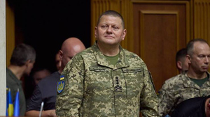 Украинский полковник раскрыл позывной главкома ВСУ Залужного