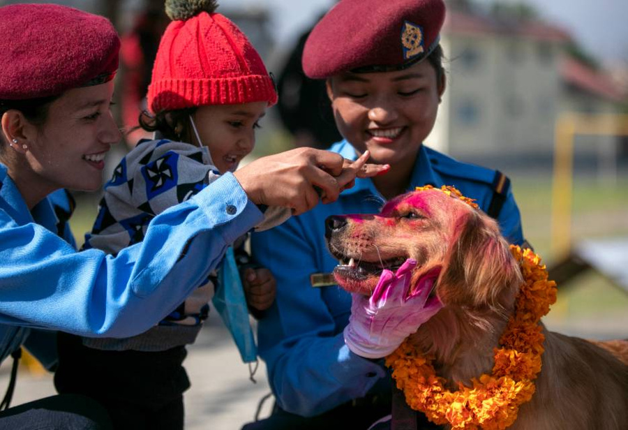 Фото © ТАСС / AP / Niranjan Shrestha