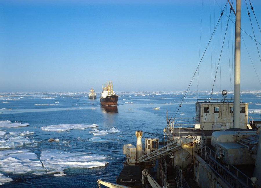 Самым холодным морем России является Восточно-Сибирское море. Почти весь год оно находится подо льдом. Фото © Юрий Ильенко /ТАСС 