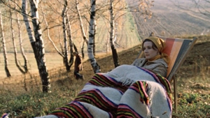 Киноляп с ковром из фильма "Москва слезам не верит" сочли гениальной задумкой