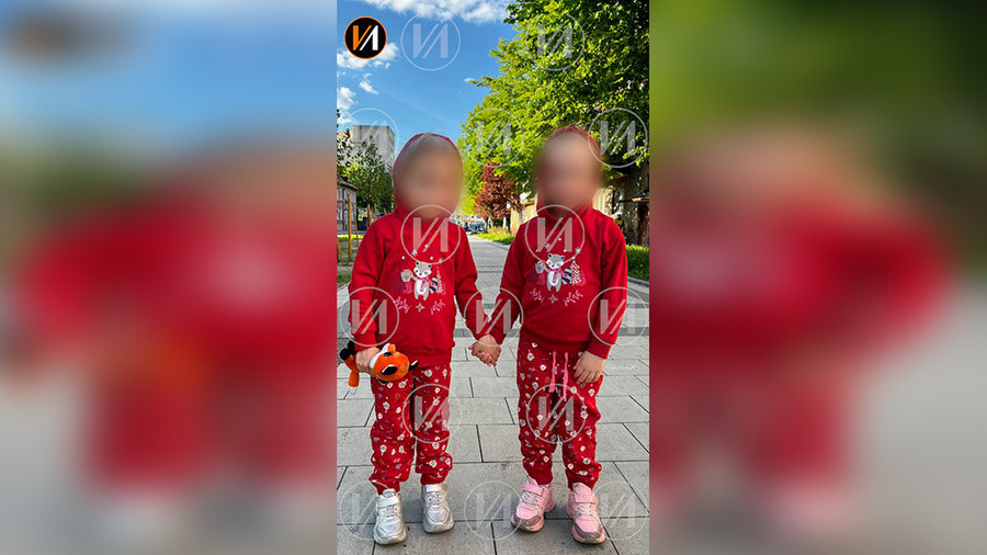 Девочки-двойняшки, которых пытается вернуть биологическая горе-мать. Обложка © Telegram / "Изнанка. Женщины"