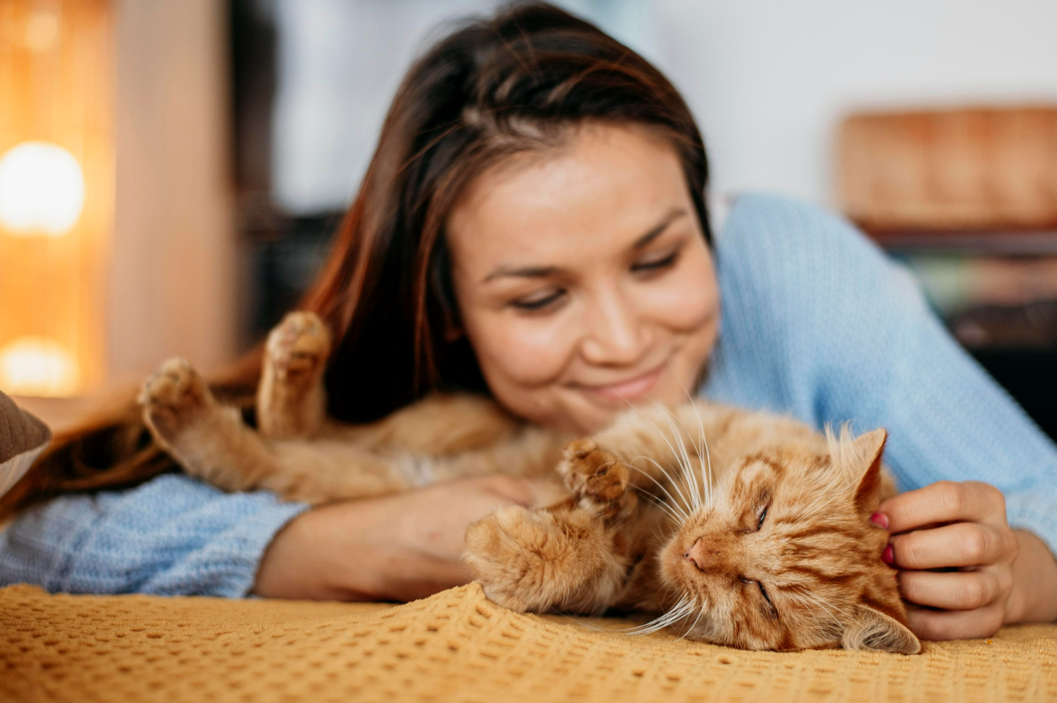 Как определить настроение вашего котика по хвосту: 6 лайфхаков