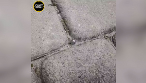 Упавший на дом в Воронеже дрон был начинён металлическими шариками
