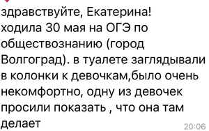 Обращение школьников об инциденте на сдаче ЕГЭ. Скриншот © Telegram / Екатерина Мизулина
