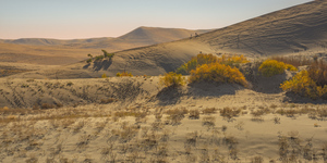 В США научились эффективно добывать воду в пустыне