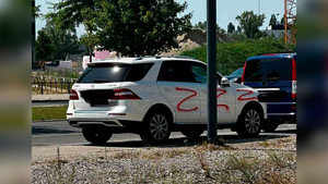 Машины с украинскими номерами, на которые нанесли буквы Z. Фото © Twitter / Tanja Maier