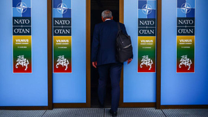 В преддверии саммита НАТО Украине ещё раз дали понять, что срочно её принять не готовы