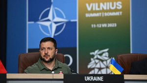 "Прелюдия без результата": Политолог увидел парадокс в отношениях НАТО и Украины