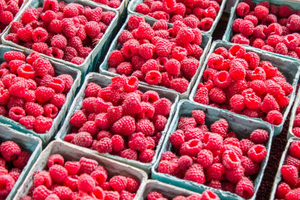 Польша направит в ЕК просьбу запретить импорт клубники и малины с Украины