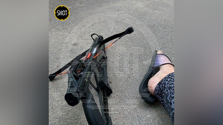 Арбалет, из которого Наталья угрожает прострелить ноги рабочим в Воронеже. Фото © SHOT