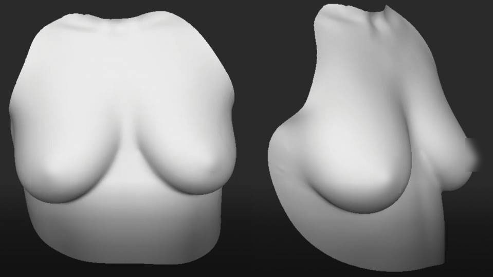 3D-модель идеальной женской груди. Изображение © Aesthetic Characteristics of the Ideal Female Breast