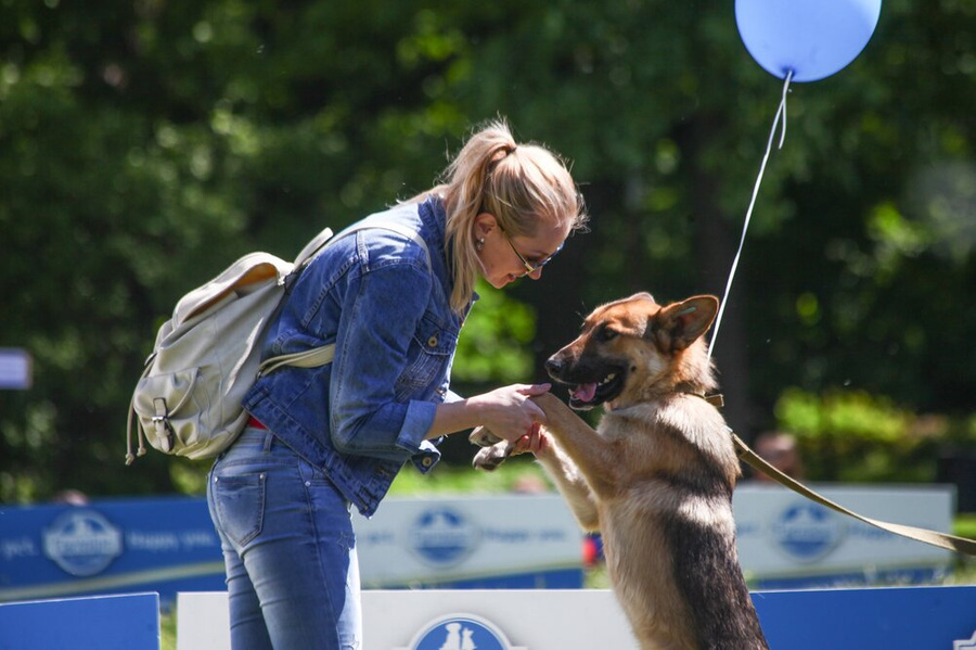 21 июля отмечается День "никаких щенков из магазина". Фото © Агентство "Москва" / Сергей Ведяшкин