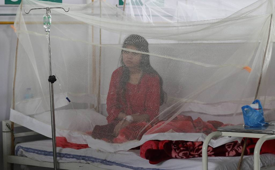 Вспышка лихорадки денге в пакистанском Лахоре. Фото © ТАСС / EPA / RAHAT DAR
