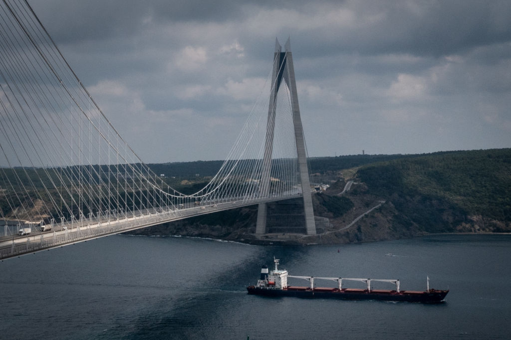 Грузовое судно с зерном из Одессы проходит через Босфор. Фото © Getty Images / Chris McGrath