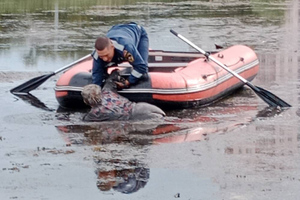 Второй день рождения: В Челябинске спасли пенсионерку, застрявшую по горло в болоте