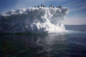 Эксперт объяснил, что пробудило айсберг с два Петербурга и для кого он представляет опасность