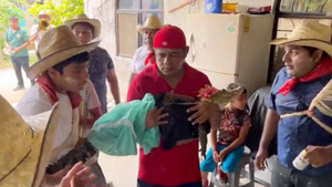 "Мы любим друг друга": Мэр мексиканского города женился на крокодиле
