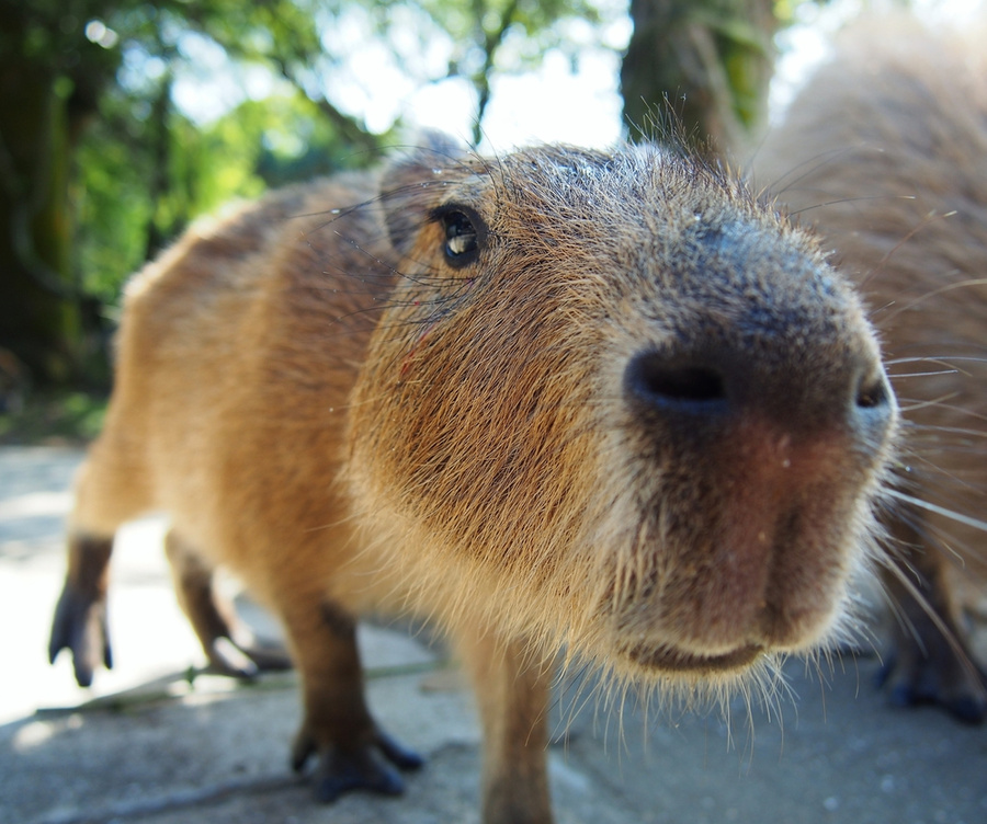 Обложка © Shutterstock