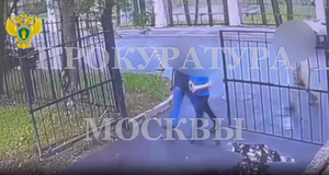 Убийство 11-летнего школьника в Москве произошло в пылу спора, кто сильнее