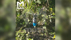 В Щербинке нашли подозрительный предмет, напоминающий СВУ