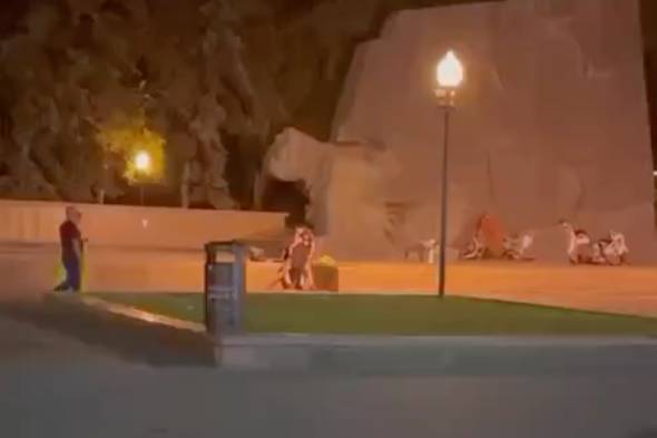 Видно, что пара занялась сексом прямо у памятника Славы. Скриншот © VK / "Вести Воронеж"