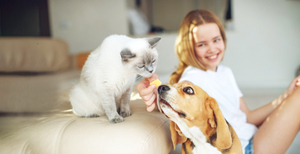 Главные эзотерические различия кошек и собак, а также миссий питомцев в доме человека