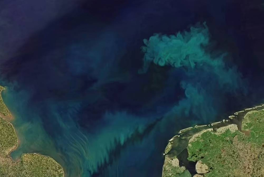 Спутниковый снимок участка Северного моря в 2018 году. Фото © NASA