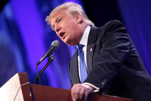 Трамп назвал абсолютно безумной идею вступления Украины в НАТО