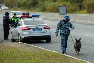 Пропавшую в Сарове женщину нашли спустя пять дней в четырёх километрах от дома