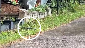 Лайф публикует видео с рухнувшим на кладбище в Зеленограде дроном