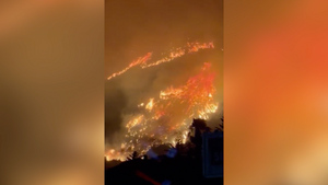 Новый рекорд — плюс 47 градусов: Сильнейшая за 200 лет жара вызвала лесные пожары в Сицилии