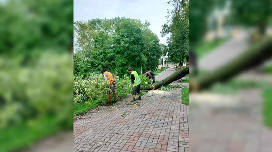 Рабочие убирают упавшие деревья после мощного ливня в Нижнем Новгороде. Обложка © Telegram / Юрий Шалабаев