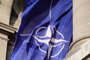 Экс-посол США предложил создать аналог НАТО