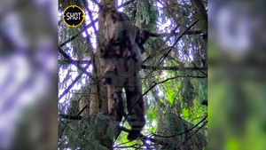 Висящую на дереве мумию нашёл житель Новой Москвы во время прогулки