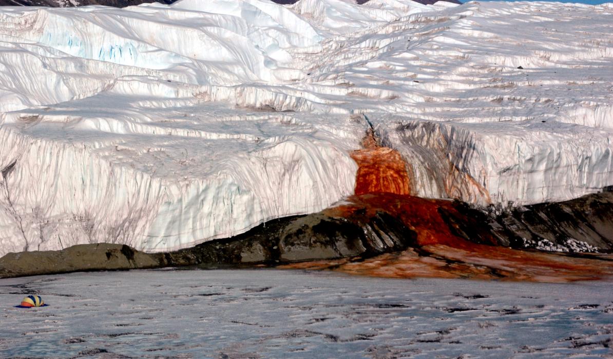 Кровавый водопад в Антарктиде. Фото © National Science Foundation / Peter Rejcek
