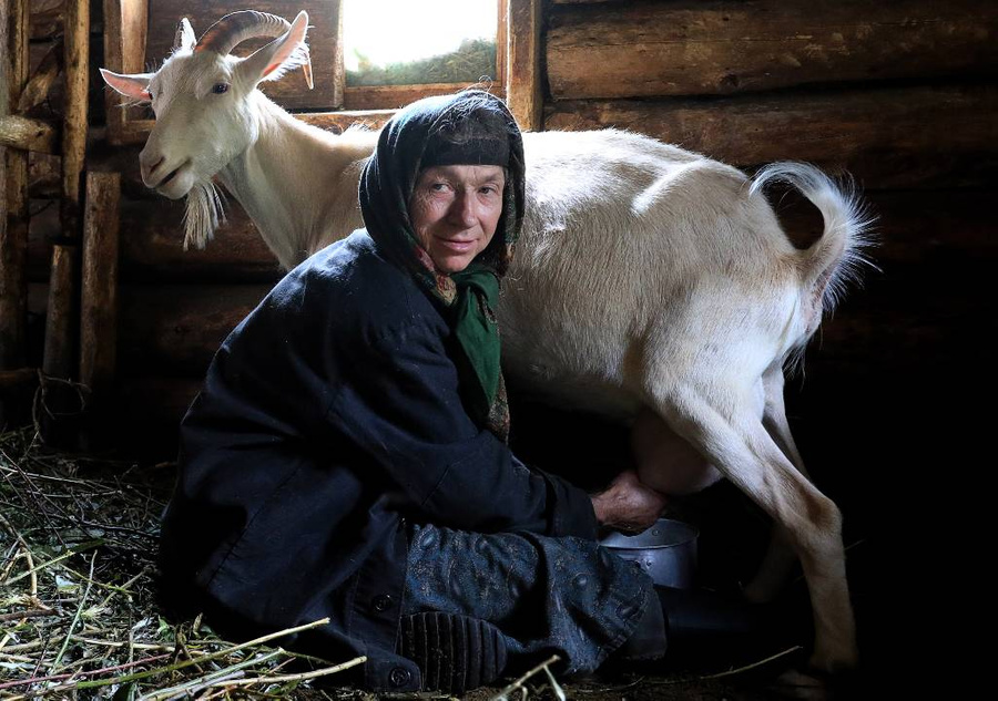 В хозяйстве у Агафьи есть несколько коз, молоко которых отшельница пьёт, когда заканчивается пост. Фото © ТАСС / Александр Рюмин